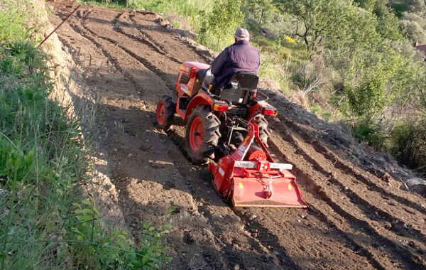 Lavori agricoli