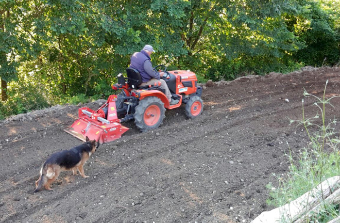 Lavori agricoli