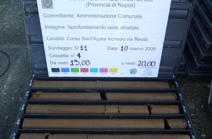 Sondaggi